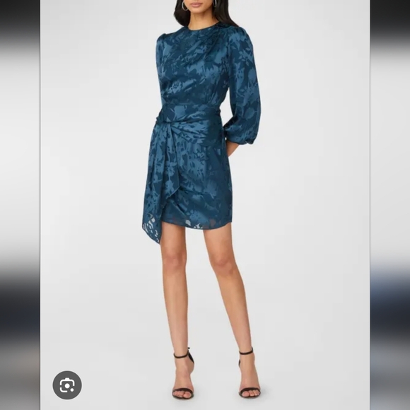 Shoshanna Sunday Blouson Jacquard Burnout Dress - Picture 1 of 5